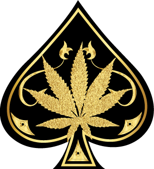 officialpremiumvapes.com
